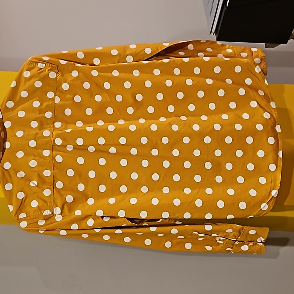 JCrew Button Down - Picture 6 of 6